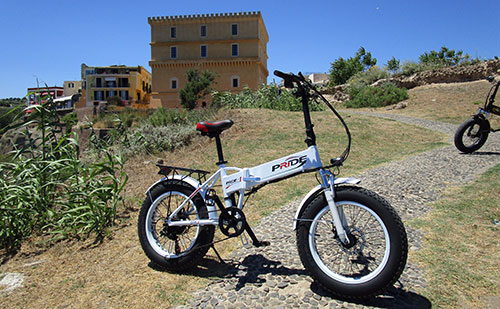 Fat bike